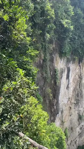 menurut saya tebingnya ngeri, gatau kalau menurut Alex Honnold #acehadventure #climbing #tropicaladventure #Hiking