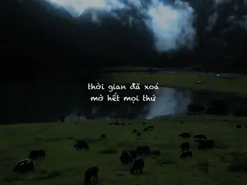 Thời gian đã xoá mờ hết mọi thứ #xh #nguytoan #nhachaymoingay 