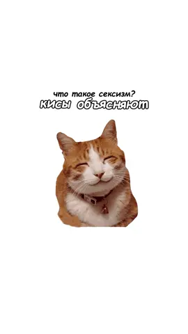 Что такое сексизм? Кисы объясняют😽