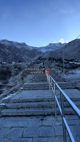 प्रगतिको नाममा त्यही एउटा उमेर मात्र बढेको छ ॥ . . . . . . . . . . #creatorsearchinsights #goviral #fyp #relatable #quotes #quotesdaily #dulegaunda_tanahun #tanahunmuser 