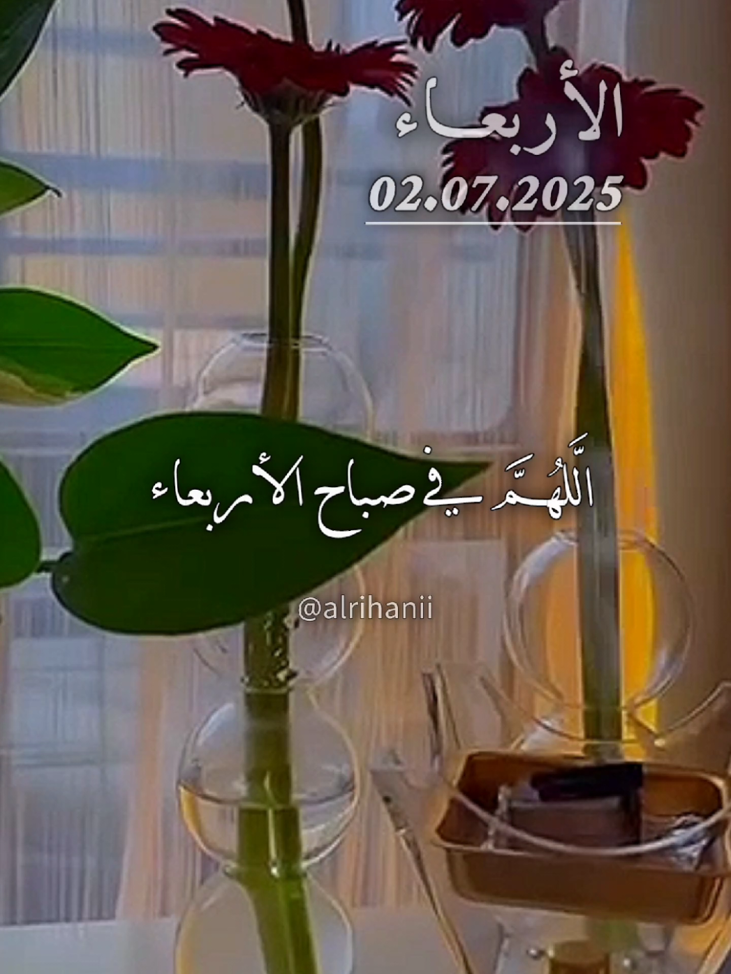 دعاء يوم الأربعاء 02/06/2025 اللهم في صباح الاربعاء  #creatorsearchinsights  #دعاء #يوم #الاربعاء #alrihanii #دعاء_جميل #دعاء_يريح_القلب #اللهم_صلي_على_نبينا_محمد #اللهم_لك_الحمد_ولك_الشكر #اللهم_امين_يارب_العالمين 