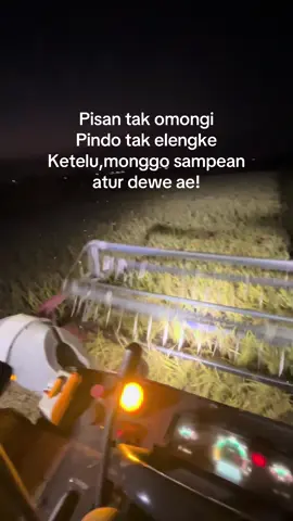 Kesel” kerjoo malah ra nayoh  #fypp #Fyp #fypシ #fypシ゚viral #fypage #lewatberanda #lewatberandafyp #masukberandafyp #petani #petaniindonesia🇮🇩🇮🇩🇮🇩🌿🌿 #firaltiktok🔥🔥🔥✌️ #maxxibimo #combineharvester #maxxibimo102 #maxxi #combine #petanimuda 