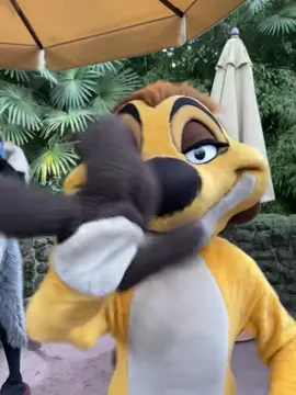 Reposting gone first video we ever posts 😱 did you see it?  #disney #disneyland #disneylandparis #castmember #oops #disneyfail #oops #waitforit #DidYouKnow 