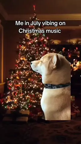 🥰❤️🎅🎁🎶🎄🍊🍫❄️✨ #Meme #meme #memestiktok #funnymeme #funnymemes #christmas #christmasmood #merrychristmas #christmasvibes #christmasmagic  #tiktokforchristmas #thinkingofchristmas #christmasmeme #christmasmemes #christmaslovelovelove #excitedforchristmas   #christmas2024 #viral #viralvideo #fyp #foryou #foryoupage #foryoupageofficiall     #onthisday 