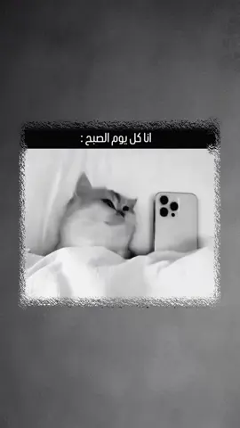 حصللل😂😂😂🦦 .  .  .  #عباراتكم_الفخمه📿📌 #تصميم_فيديوهات🎶🎤🎬 #90 #flyp 