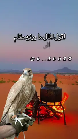 #أكسبلور_شعر_حكم_خواطر 