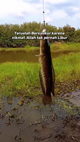 #OkSegituSaja spot lebung teratai ujung tanjung