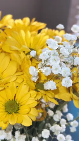 #CapCut a cuantas les gusta el color amarillo 