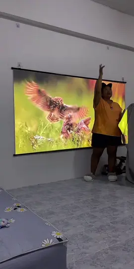 จอฉายโปรเจคเตอร์แบบแปะผนัง ตัดแสงรบกวน เพิ่มแสงและสีของโปรเจกเตอร์ให้ชัดขึ้น #รีวิวโปรเจคเตอร์  #จอฉายภาพโปรเจคเตอร์ #จอโปรเจคเตอร์ #โปรเจคเตอร์ดูหนัง  #โปรเจคเตอร์  #projector  #ตรงปกไม่จกตา 