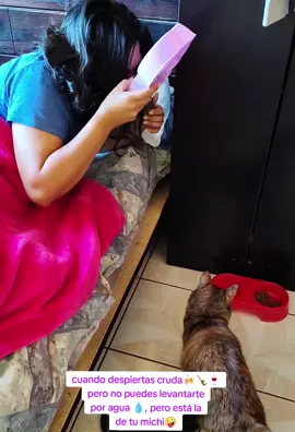 compartimos los mismos bichos🤪 🪱🦠 #paratiiii #paratiiiiiiiiiiiiiiiiiiiiiiiiiiiiiii #gatos #fypシ゚ #lavidaesbella #cat #catsoftiktok 