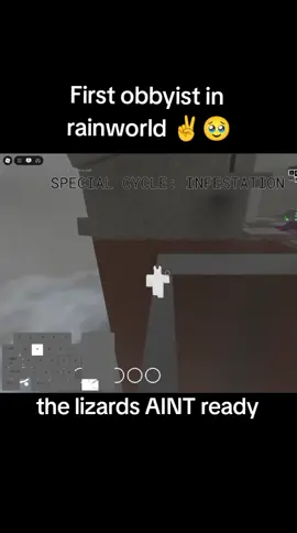 (yes my nohboard didnt work well that day ik thes pacebar aint showing) #rainworld #raingame #obby #obbytok #boomsasok #obbyist #fyp 