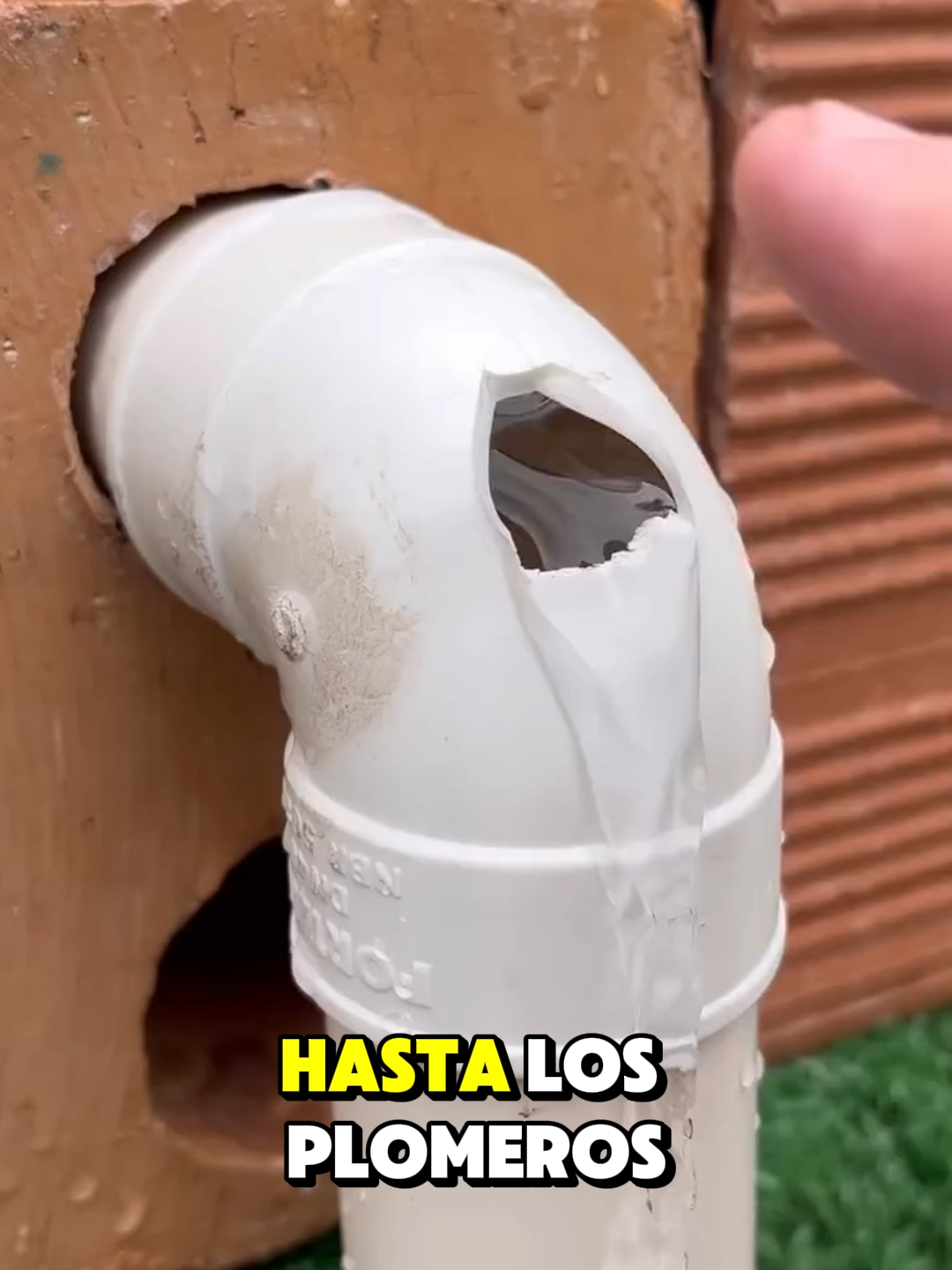 ¡El SECRETO que los PLOMEROS NO quieren que sepas! 🔥 🚨 ¡No gastes dinero en reparaciones temporales! Descubre este increíble truco para reparar tuberías rotas con materiales que tienes en casa. 🔧 ¡Es rápido, fácil y duradero! #CurioHacks #Sorprendente #Increíble #Viral #reparación de tuberías #arreglar caño roto #truco de plomería #fugas de agua #cómo reparar un tubo #reparación casera #fontanería fácil #sellar fugas de agua #bricolaje en casa #DIY plomería #arreglos del hogar #tutorial de plomería #consejos de plomería #reparación económica #truco con pegamento #solución rápida tuberías #emergencia plomería #caño roto qué hacer #fugas de agua solución #reparación con materiales caseros
