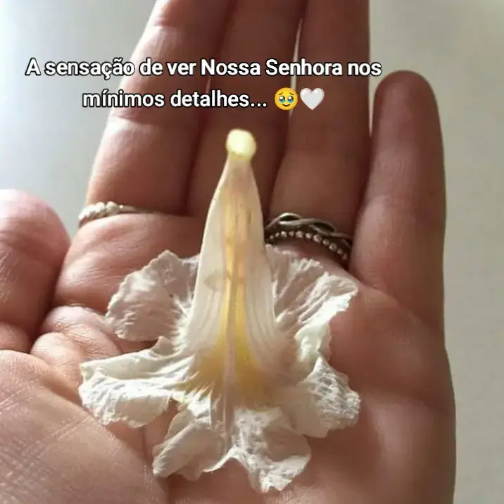 . . . #IgrejaCatólica #NossaSenhora #ColodeDeus #católicos 