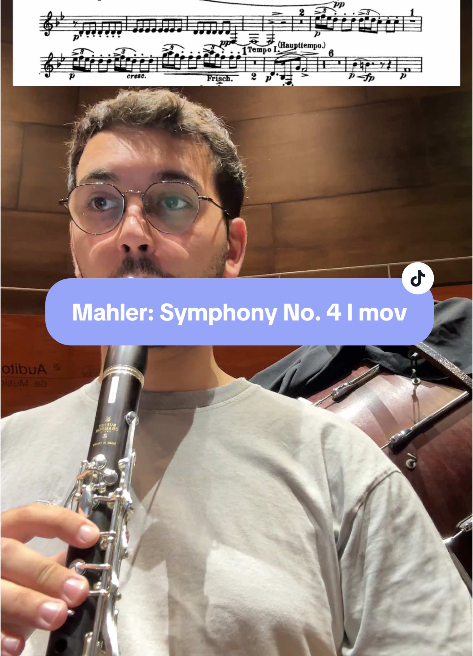 Mahler: Symphony No. 4 I mov #clarinete #clasicmusic #clarinet #sinfonia #concert #music #Malher4 #symphony 