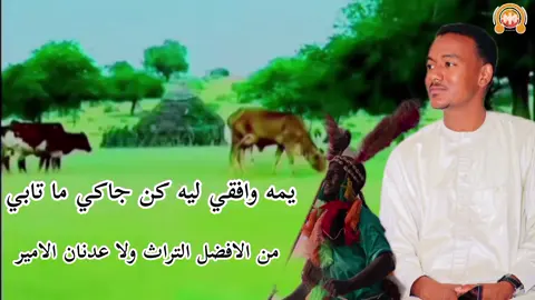 يمه وافقي ليه كن جاكي ما تابي ـ الاغنيه كامله  تراث بقاره ـ عدنان الامير + الفرقة ايمها افضل ـ اغاني سودانيه 2025