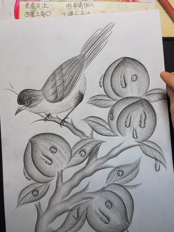 How To Draw a peaches and Bird ✏️ .   . . #howtodraw #drawingprocess #drawingtutorial #drawingchallenge #drawingforbeginners #artistsoftiktok #usatiktok🇺🇸 
