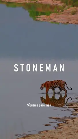 ¿Por qué los perros se esconden antes de morir? . Este video explica por qué los perros se alejan cuando presienten su final, demostrando un profundo amor. Es un instinto ancestral para evitarle dolor a sus dueños. Reflexiona sobre este acto de cariño y el vínculo incondicional que compartimos. . . . . . . . #motivacion #motivación #videomotivacional #disciplina #desarrollopersonal #crecimientopersonal #masculinidad #stoneman 