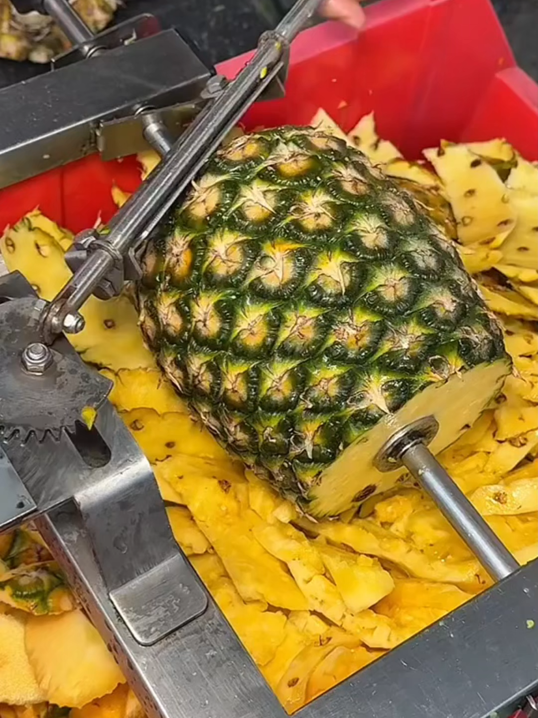 (133) (1 minute) Amazing Fruit 😱