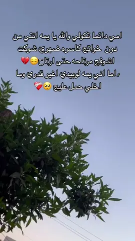 😔😔.#الشعب_الصيني_ماله_حل😂😂 #اكسبلور #مالي_خلق_احط_هاشتاقات 