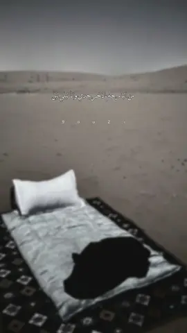 من البارحه ياذخر جدي وانا ليلي ليل#نياف_تركي #كسبلور_explor #تصميمي #fypシ #fyp #foryoupage #foryou 