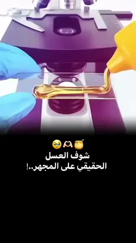 ضع صورتك ومبروك عليك التصميم🙂✨#تصميم_فيديوهات🎶🎤🎬 #مصمم_قوالب_كاب_كات🖤🍂 #ونعلم_ما_يتمناه_لنا_كل_واحد_منهم🎭👌 #قوالب_كاب_كات_جاهزه_للتصميم🎥 #تعرف_شريك_انا_مابتركك♥️🦅 #تعرف_شريك_انا_مابتركك♥️🦅 #شاريكي_بدنيا_كلا🖤🔥 #صالح_مصمم✅🦅 #تنزيل_مفتوح❤️ 