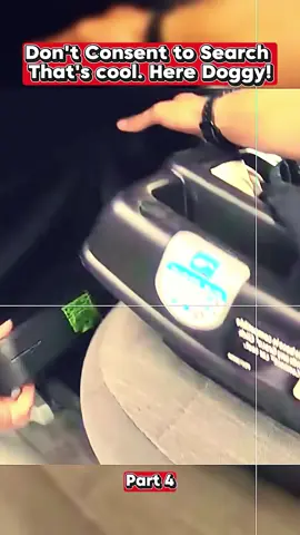 #fyp #tiktok #cops #police #usa #trending 