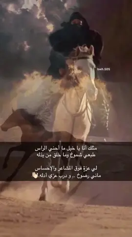 #شعراء_وذواقين_الشعر_الشعبي كنجمّة منفردة لا انطفئ  ‏اضِيء لنفسي الطريق ،  ‏مكتفية بذاتي عن العالمين 🤍