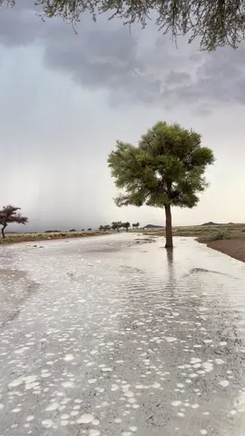 #أجواء_الشتاء #الجرير الشمالي #الفوارة #القصيم #اكسبلور_فولو 