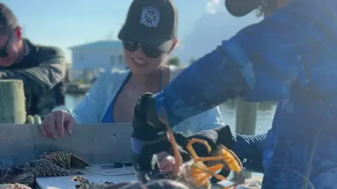 Lobster season is coming up in Florida! Nothing beats diving for bugs with family and cooking them up together - the Florida Keys are a pretty special place to dive for lobster during lobster mini season (or regular season, honestly) - let’s get after it. #lobsterfishing #lobster #lobsterdinner #crayfish #crayfishing #lobsterseason #miniseason #spearfishing #freediving #divelife 