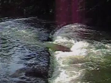 Would you sell your little soul? #fyp #lyrics #digitalcamera #photography #cam #tvgirl #theblonde 