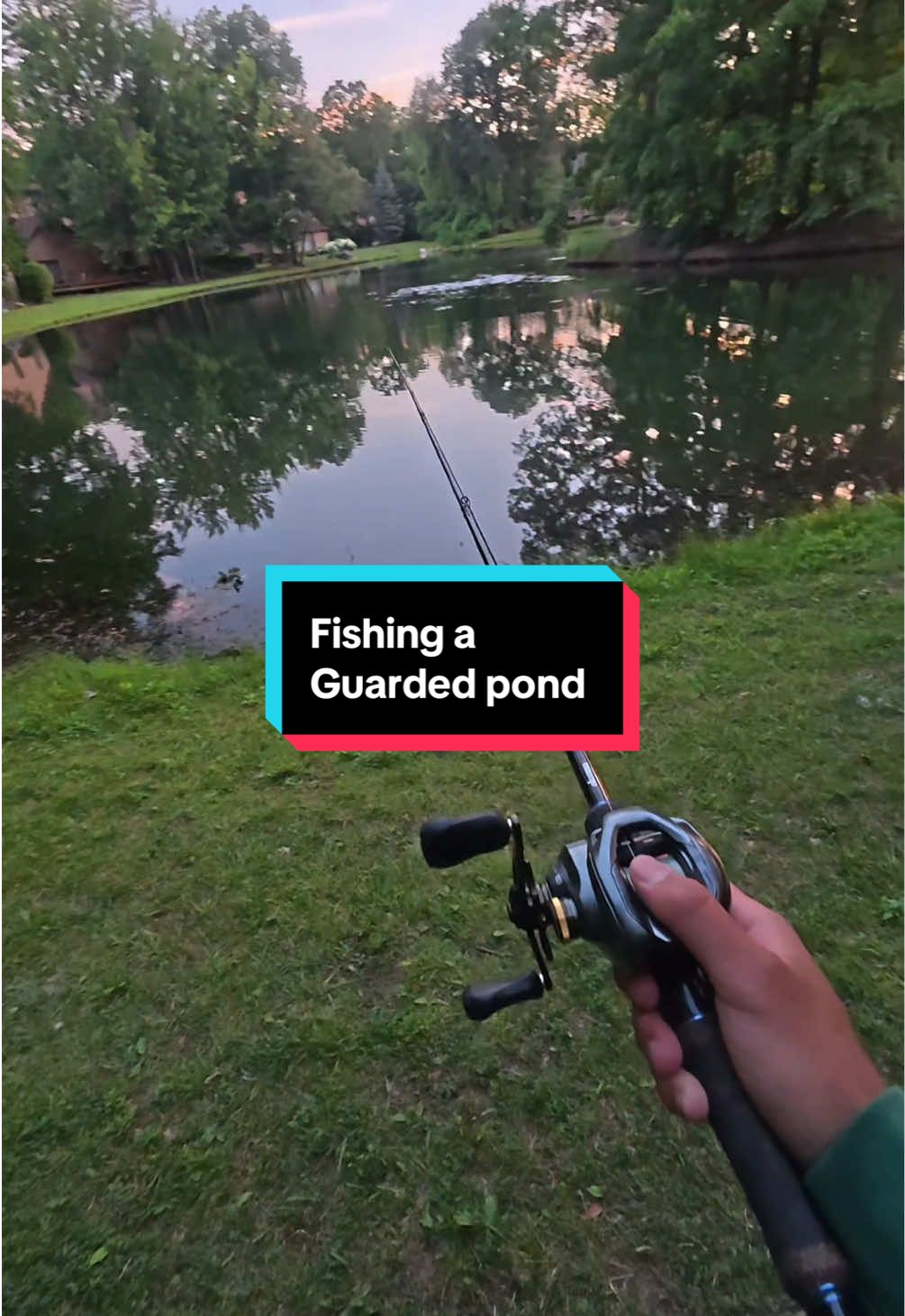 Fishing a guarded pond #fishing #fishingvideos #bass 