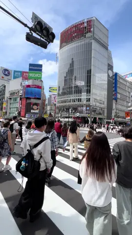 Shibuya Crossing - the world's busiest pedestrian crossing. Tokyo, Japan 2025 🇯🇵 #japan #tokyo #traveltiktok #japan2025 #shibuya #shibuyacrossing 