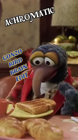 attempting to find the fan overlap between Muppets and Vocaloid…  #gonzo #gonzothegreat #muppetsgonzo #muppetsfromspace #themuppets #teto #kasaneteto #birdbrain #jamiepaige #tetobirdbrain #edit #vocaloid #vocaloidedit #muppetedit 