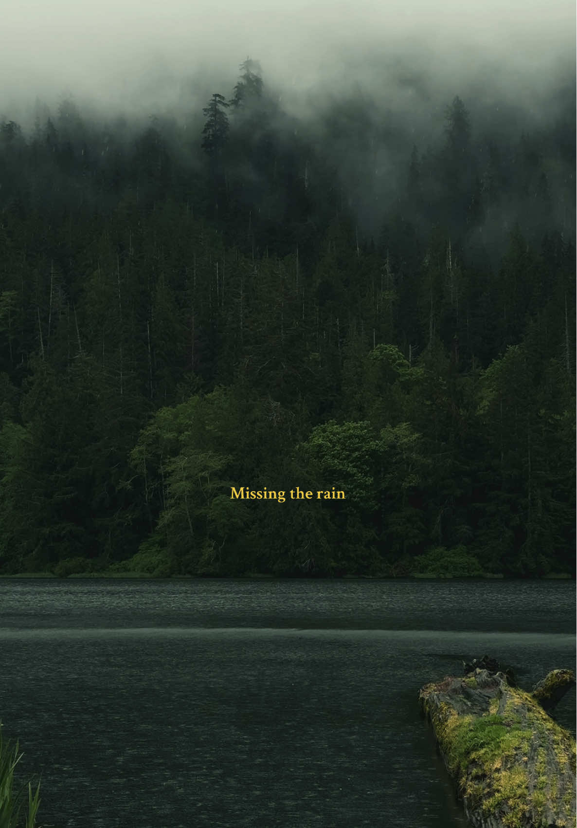 Missing the rain 🖤