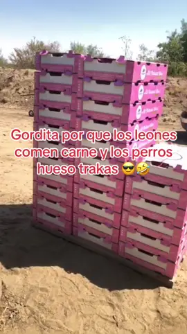 #videoviralitiktok #f #fiiiiiiiiiiiiiiiiiiiiiiiiiiiiiiiiiiiiip #parati #tiktoklive #pricesos #💵 