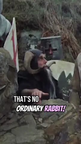 Introducing your new pet like 😬 #pets #stray #filmtok #oldhollywood #montypython 