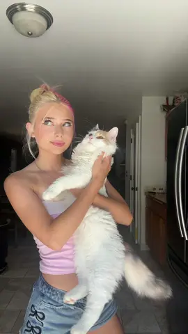 i love her she’s so cute guys #cat #viral #fyp #kitty #fluffy #cute #blonde #pinkhair #pink #blowup 