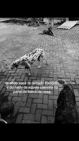 #memestiktok #trend #trending #foryou 