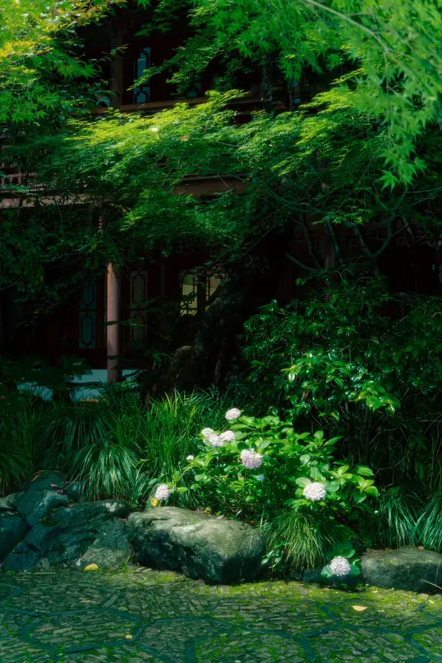 ⛅️🍵🍃#xuhuong #hinhnen #weibo #thiennhien #chill #thugian #morning 