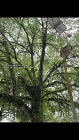 #fyp #fypage#katakatasad #hts#statuswa #crush 