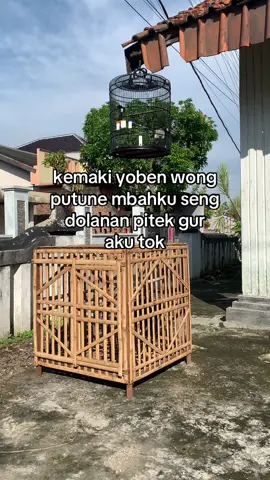 🦥 #bangkokklasik #ayambangkoksuper #ayambangkokindinesia #bkselatan #ayambangkokselatan #fyp 