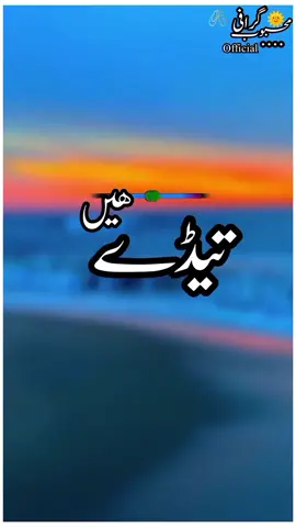 #تیڈے ہاسے ہیں تیڈے رہے ویسوں  #foryou #foryoupage #viralvideo #sreakypoetry 