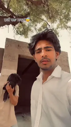 🥹🥀 #🥺 #💔 #punjab #punjabi #treading #trend #virlvideo #foryou #foryoupage #tiktok #shyari #status #instagram #pakistan #dhokha #pyar #surrypind #pindawale #brampton #canada #arab #sidhumoosewala 