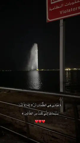 سُبحانك إني كُنت من الظالمين❣️