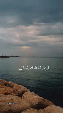 #CapCut لو لا ثقة الانسان برحمة الله #الوائلي_روح_المنبر_الحسيني #الوائلي #اكسبلور ###القطيف_الشععب_اللطيف 