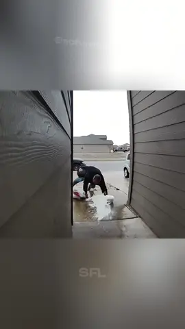 #funnymoments #funnytiktok #funnyvideoscomedy #funnypets #funnycomedy 