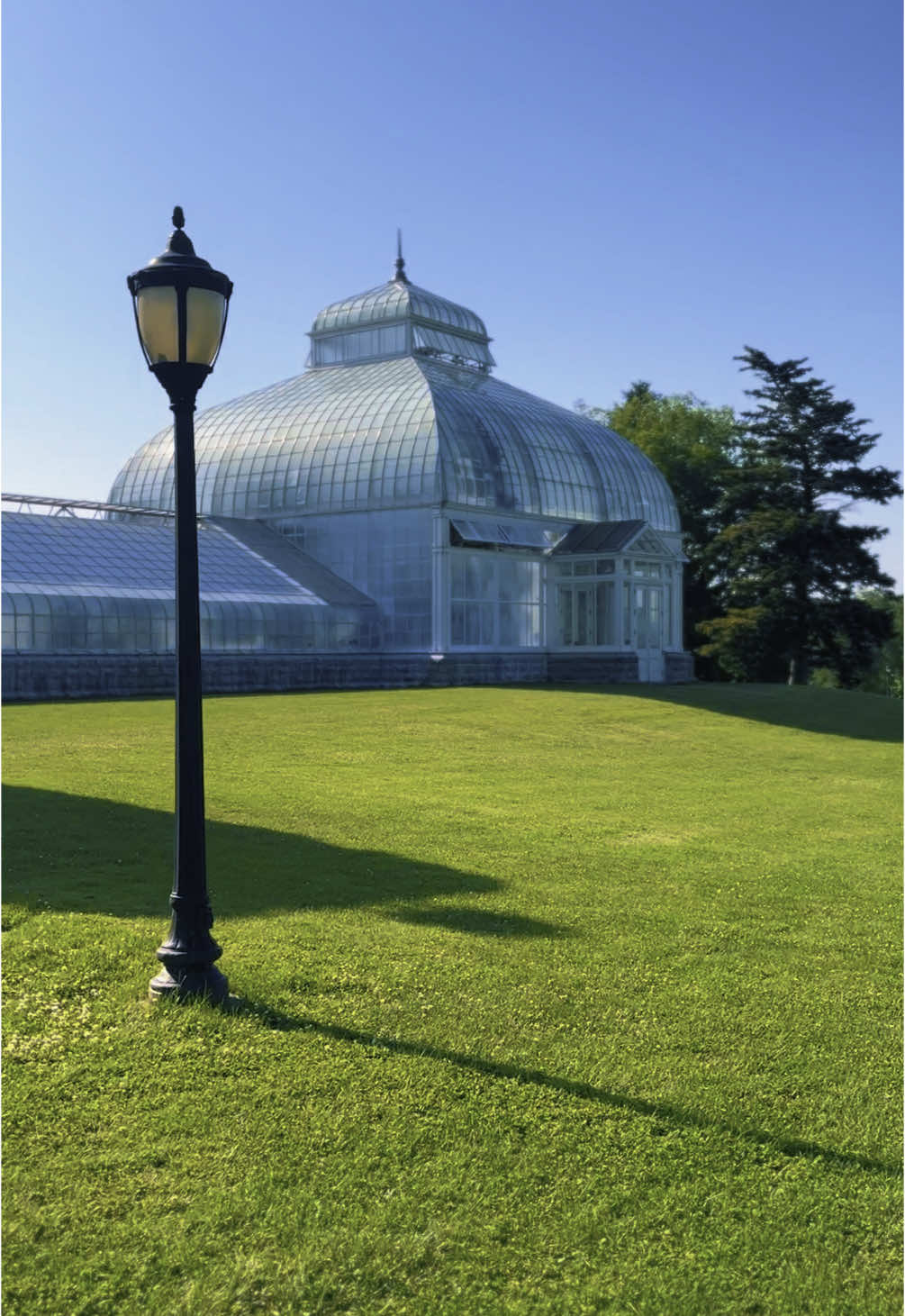 US✨🍃🕊️#foryou #🇺🇸 #fypシ゚viral #natureview #beautifulplace #2025tiktok #naturevideo #tiktoknature #2millionviews #nature #usalife #america #bdgirl #tiktoknature #fyppppppppppppppppppppppp 