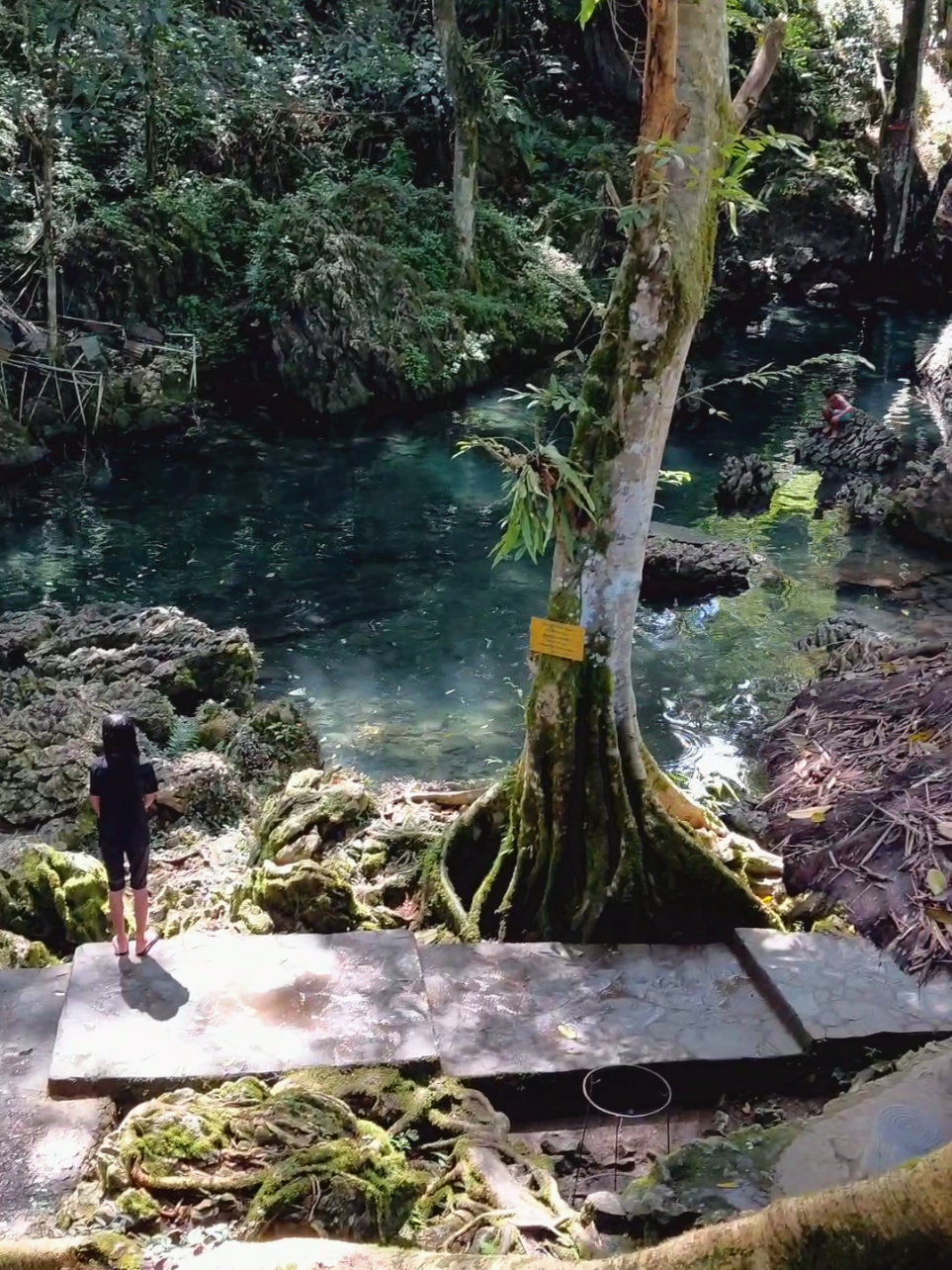 Kolam Renang Alam Tilanga'. #torajasulawesiselatan 