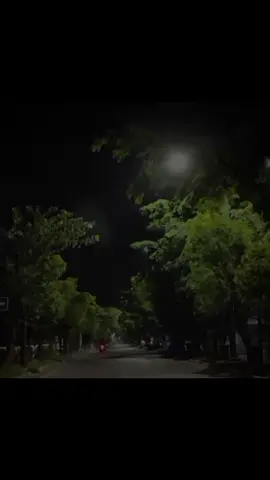 #badbunny#dedicatorias#indirectas#rolitas#estadosparawhatsapp#lyric#chile#chilenos#canciones#musica