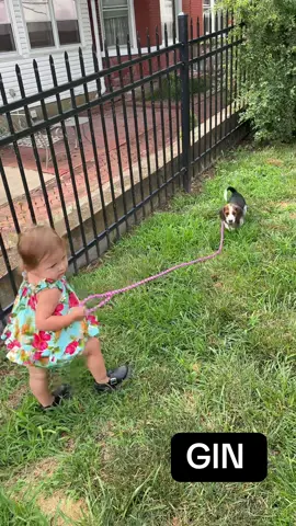 Su primer perrito! 🐶  #socorritolanińadeltiktok #fyp #puppy 
